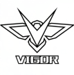 Vigorasoft